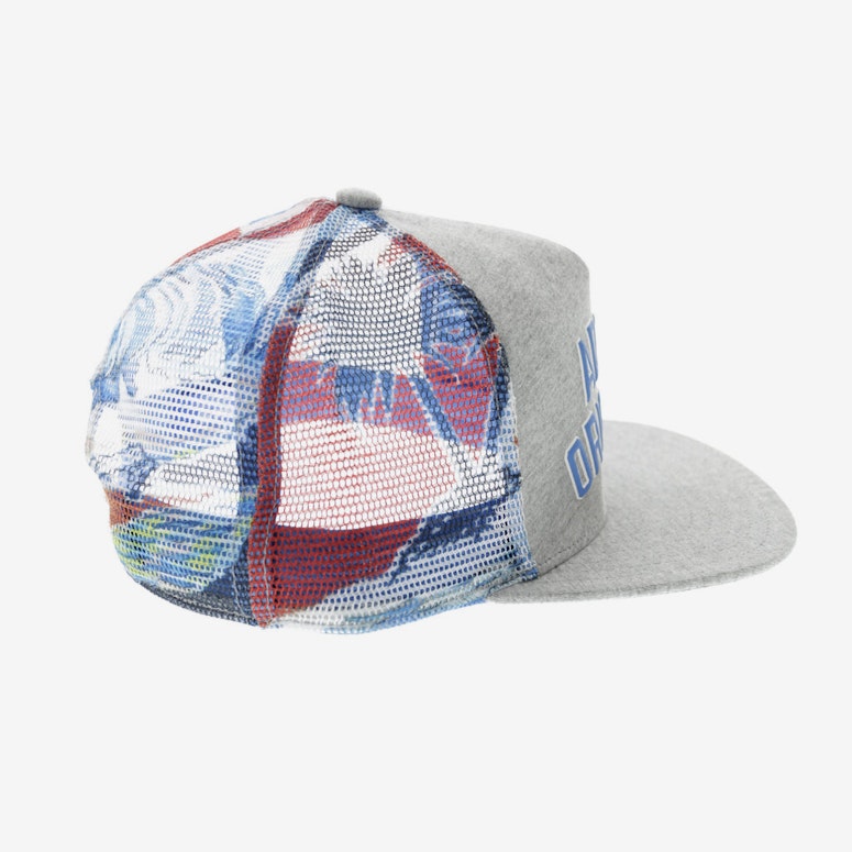 Adidas Originals Snapback Grey