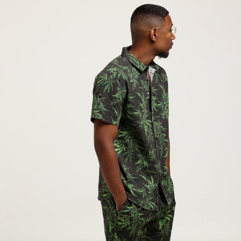 Grand Scheme Maui Wowie Shirt Black