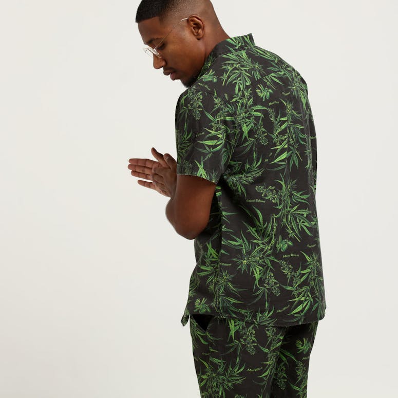 Grand Scheme Maui Wowie Shirt Black