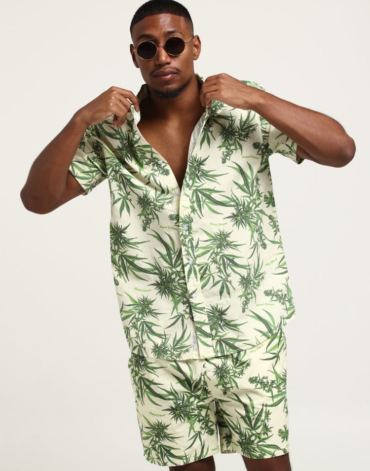 Grand Scheme Maui Wowie Shirt Cream