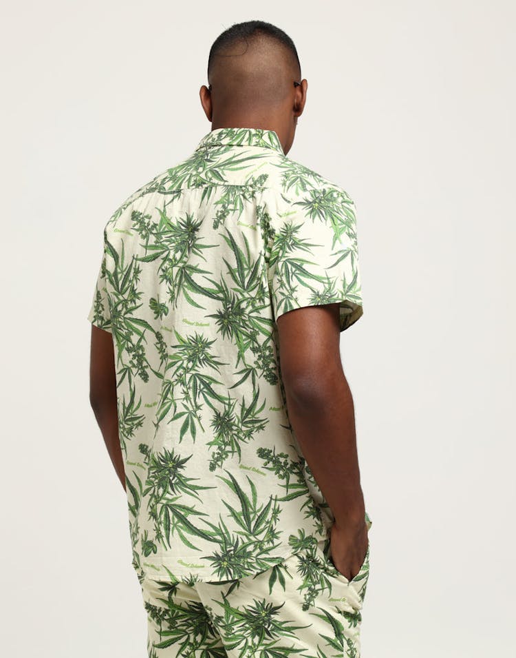Grand Scheme Maui Wowie Shirt Cream