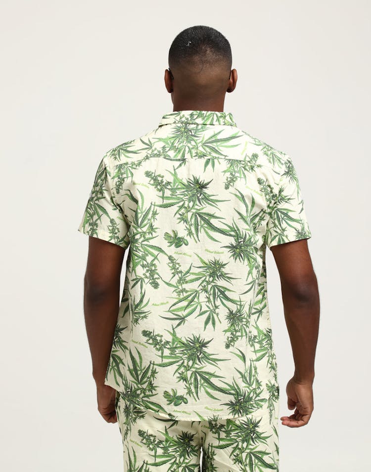 Grand Scheme Maui Wowie Shirt Cream