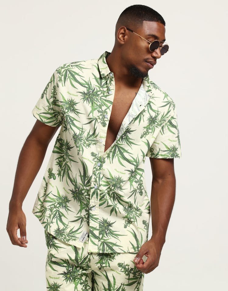 Grand Scheme Maui Wowie Shirt Cream