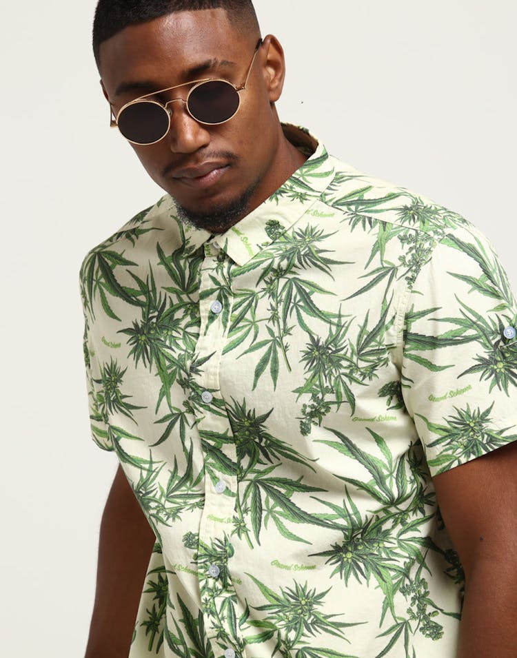 Grand Scheme Maui Wowie Shirt Cream