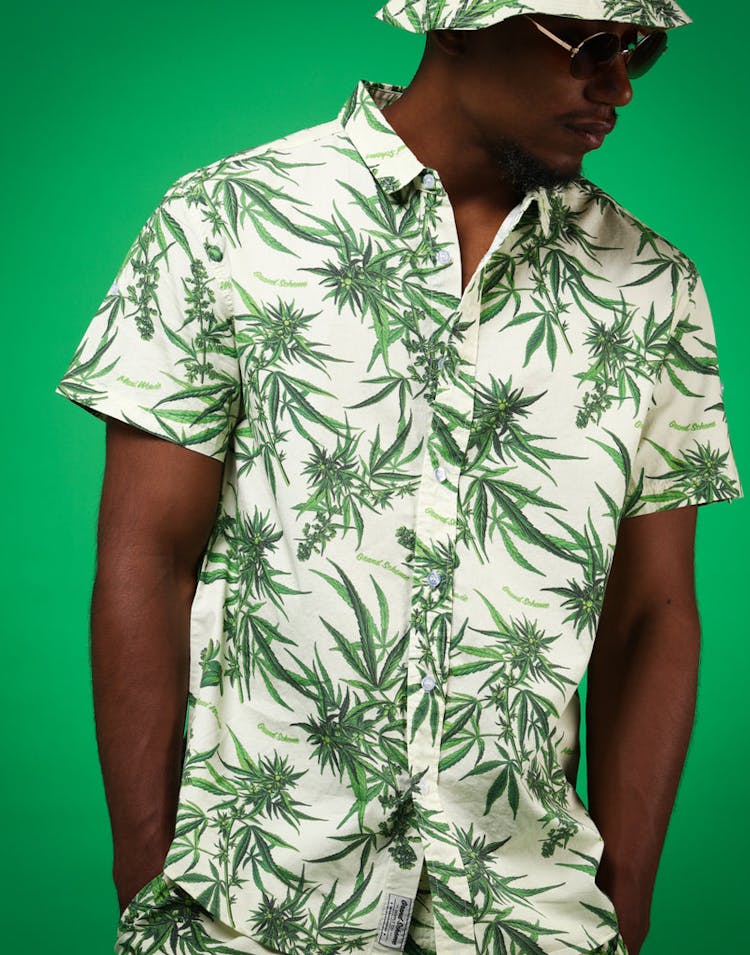 Grand Scheme Maui Wowie Shirt Cream
