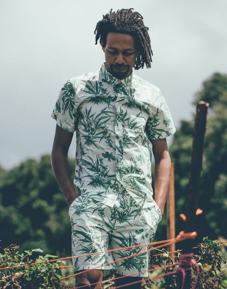 Grand Scheme Maui Wowie Shirt Cream