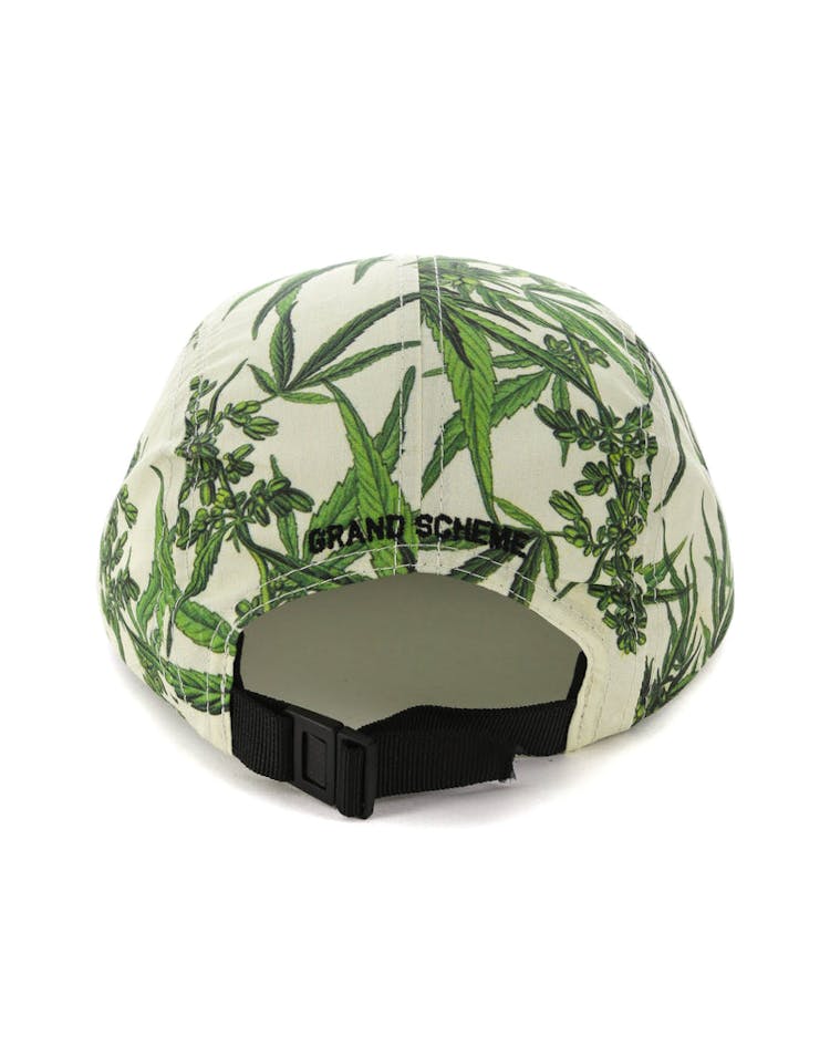 Grand Scheme Maui Wowie 5 Panel Cap Cream