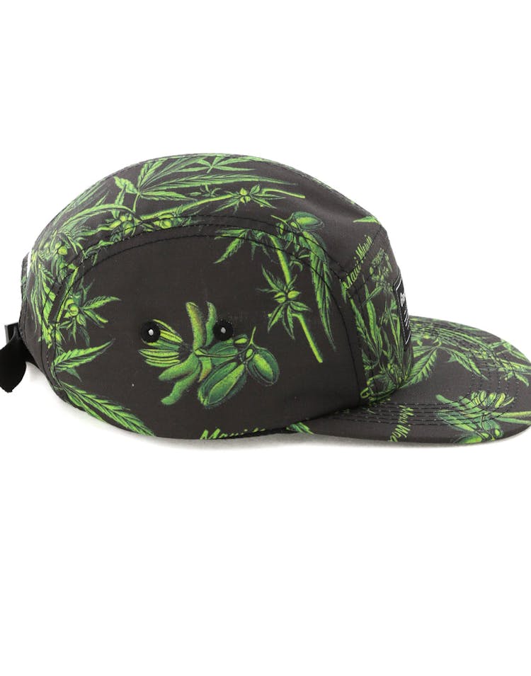 Grand Scheme Maui Wowie 5 Panel Cap Black