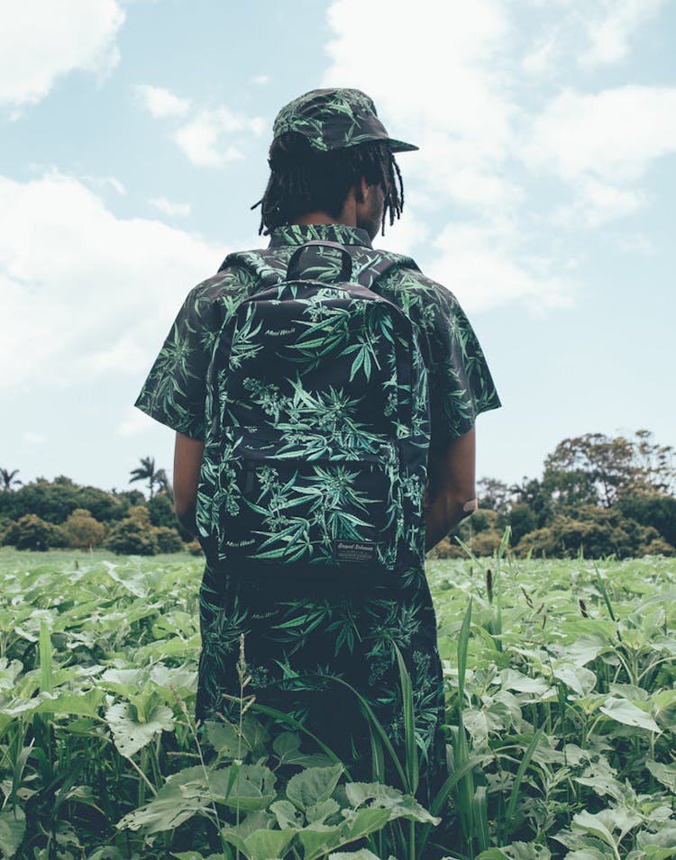 GRAND SCHEME MAUI WOWIE BACKPACK BLACK