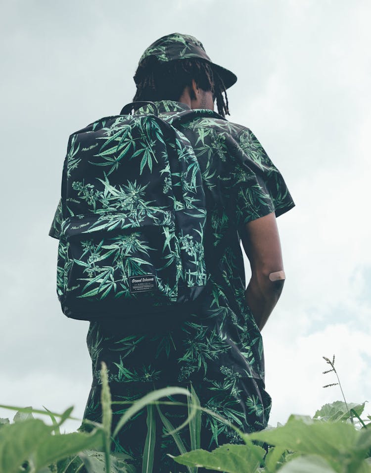 GRAND SCHEME MAUI WOWIE BACKPACK BLACK