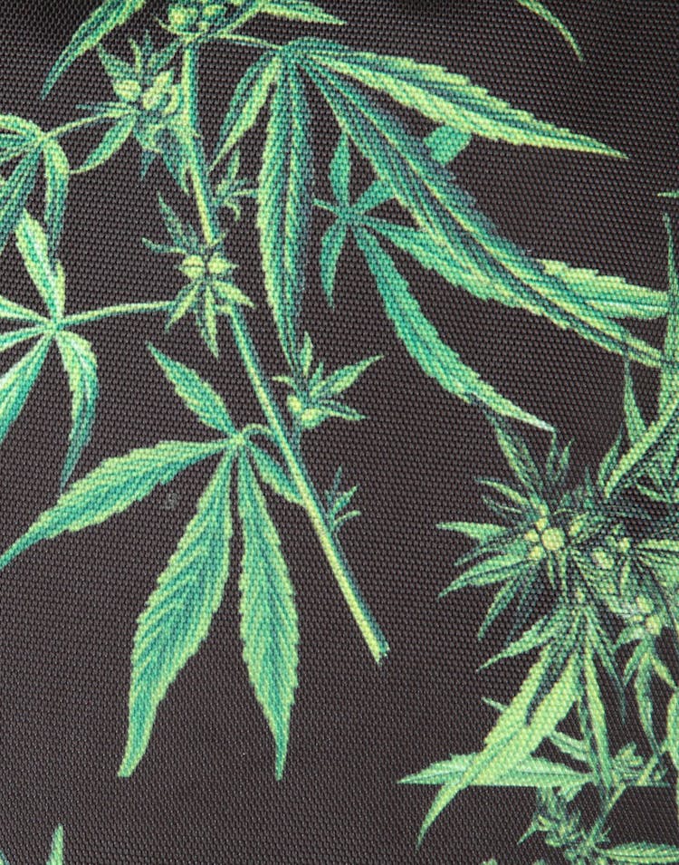 GRAND SCHEME MAUI WOWIE BACKPACK BLACK