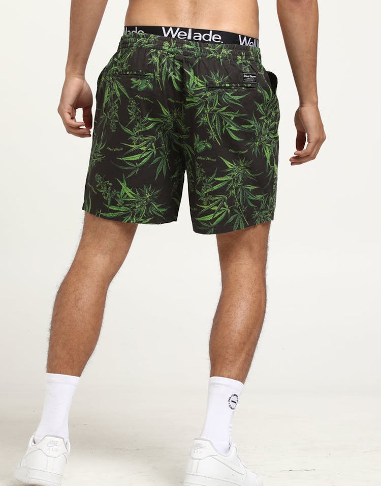 Grand Scheme Maui Wowie Shorts Black
