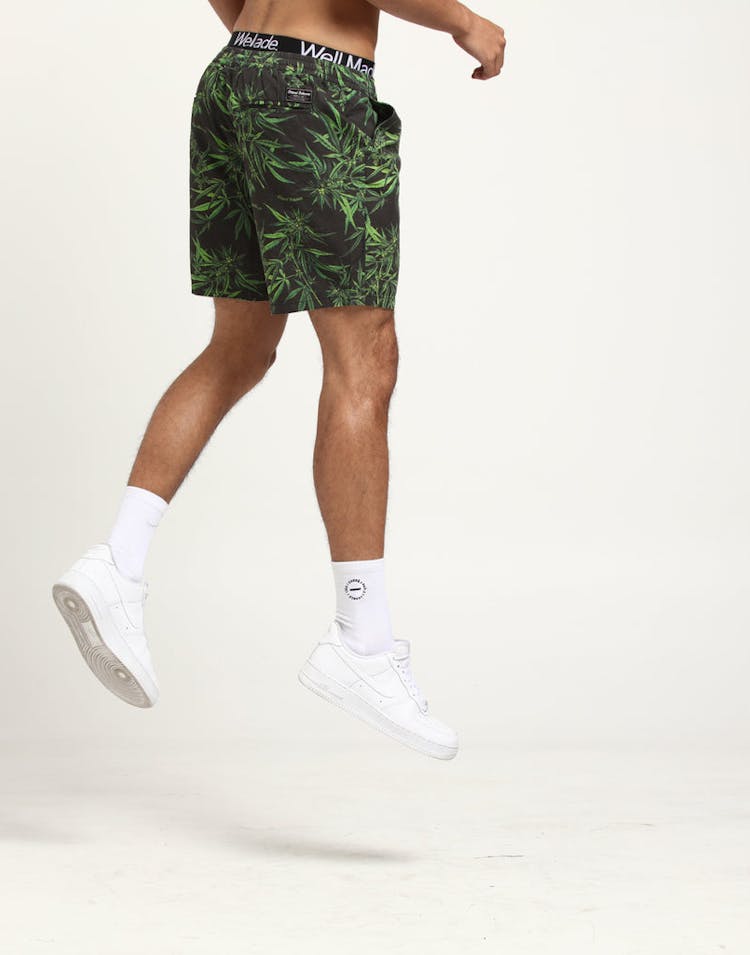 Grand Scheme Maui Wowie Shorts Black