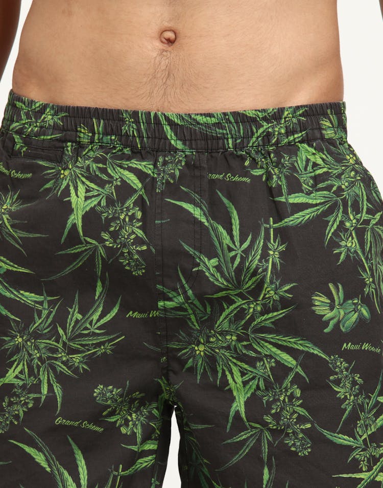 Grand Scheme Maui Wowie Shorts Black