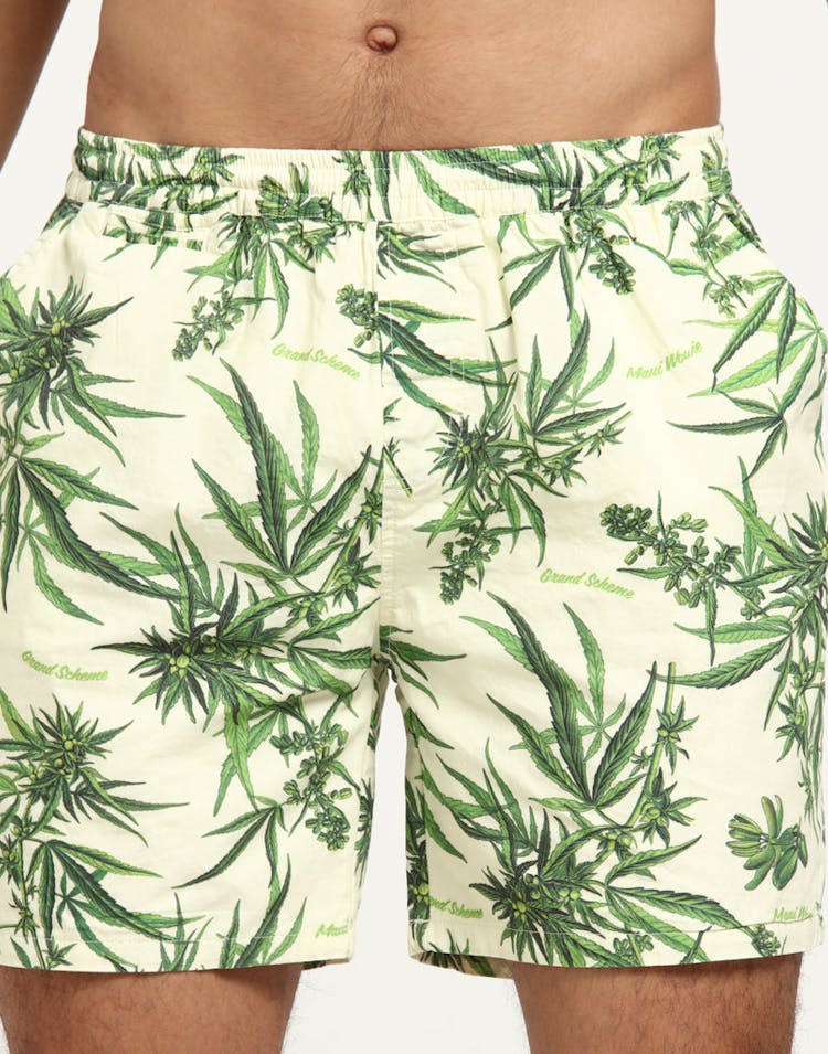 Grand Scheme Maui Wowie Shorts Cream