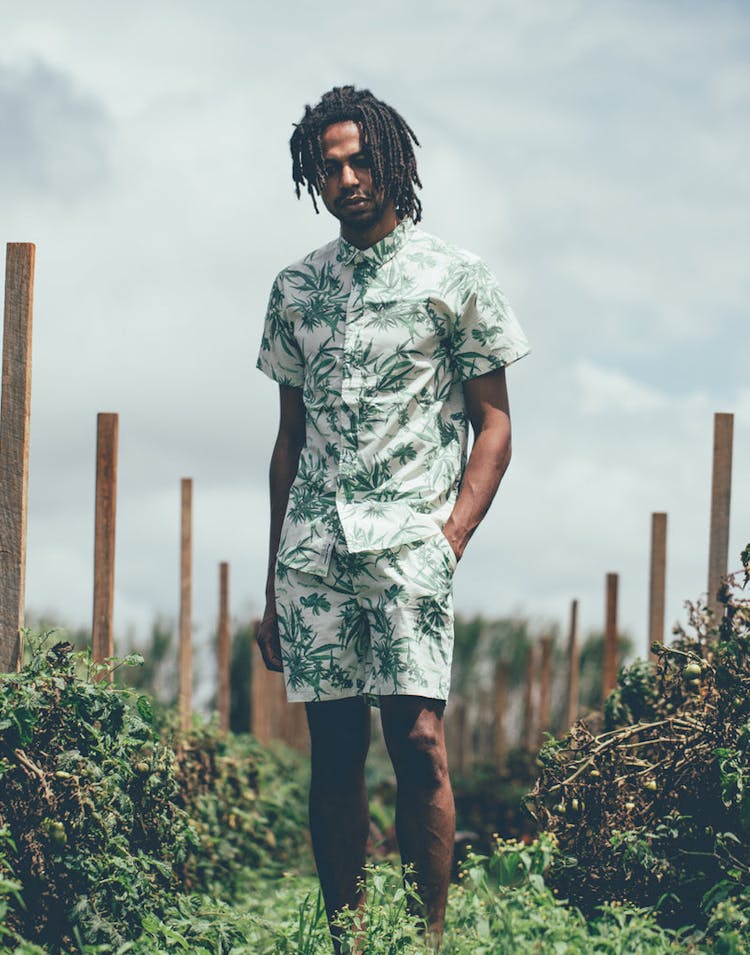 Grand Scheme Maui Wowie Shorts Cream