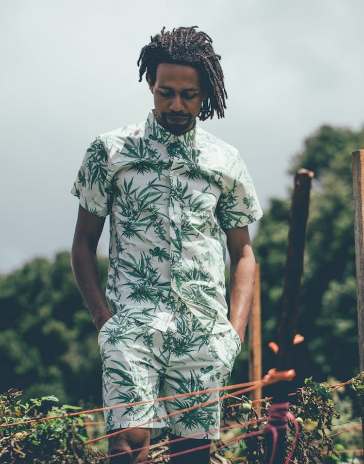 Grand Scheme Maui Wowie Shorts Cream