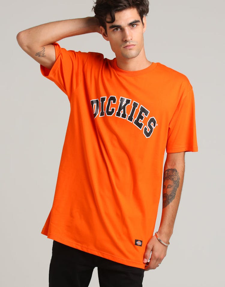 Dickies Princeton Classic Fit S/S Tee Orange