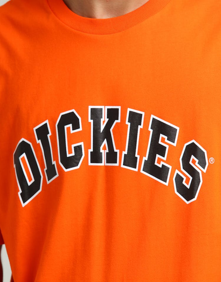 Dickies Princeton Classic Fit S/S Tee Orange