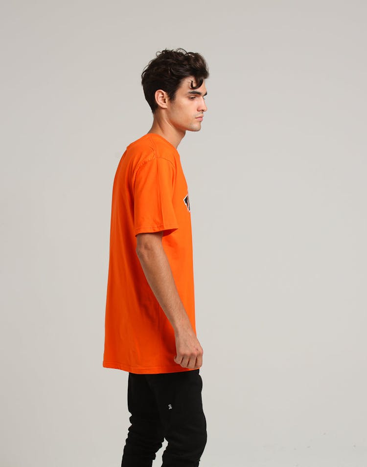 Dickies Princeton Classic Fit S/S Tee Orange