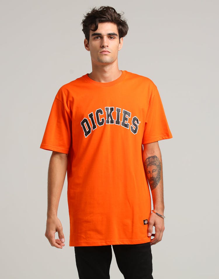 Dickies Princeton Classic Fit S/S Tee Orange