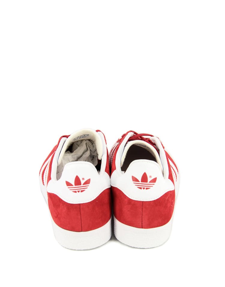 Gazelle Red/white