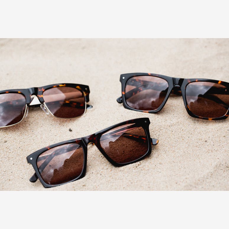 Watson Sunglasses Tortoise