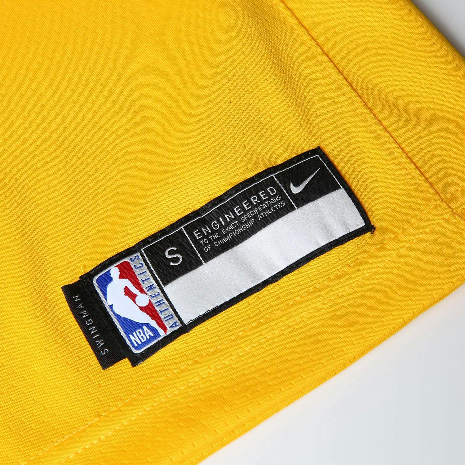 Nike Kids Los Angeles Lakers LeBron James #23 Icon ...