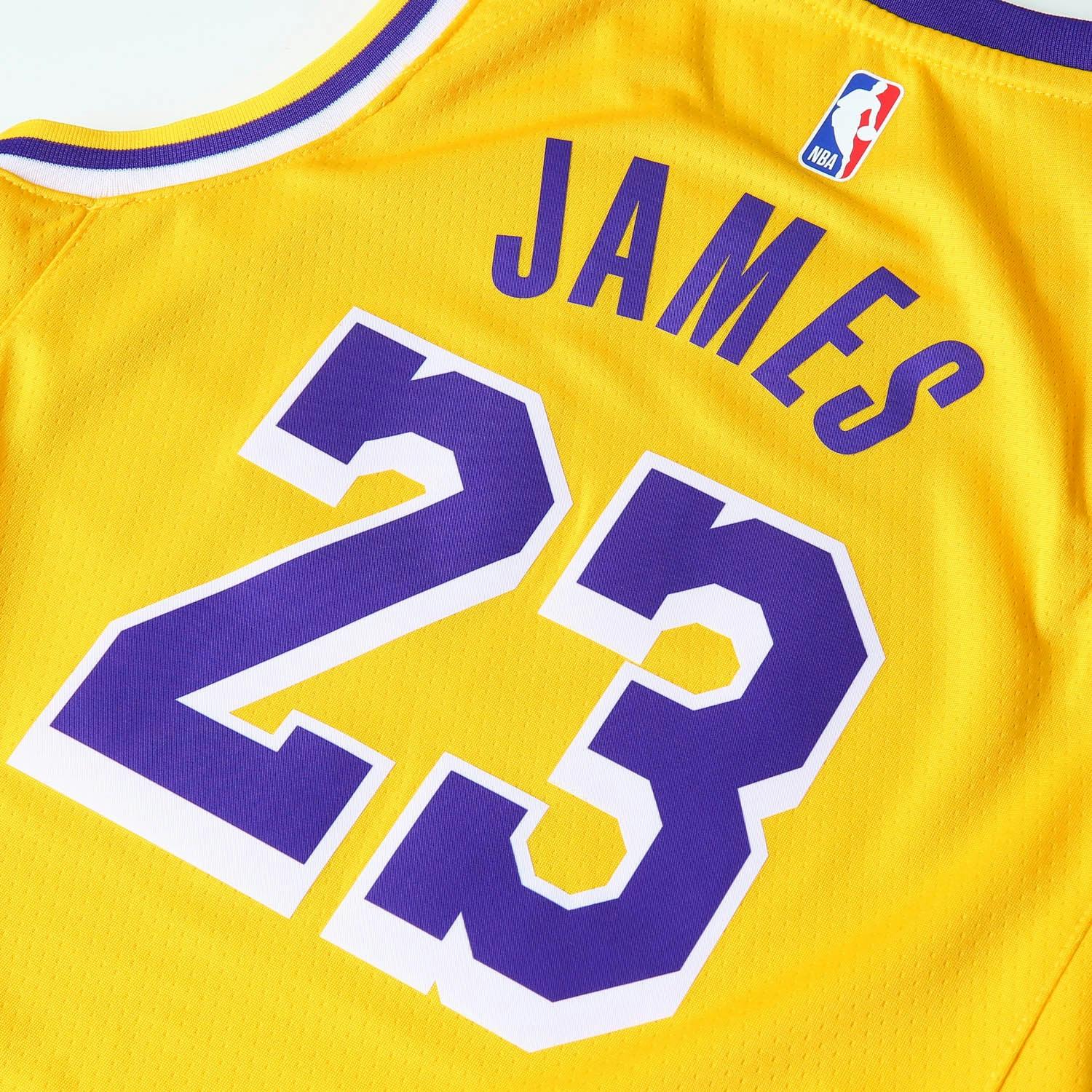 Nike Kids Los Angeles Lakers LeBron James #23 Icon Swingman NBA Jersey ...