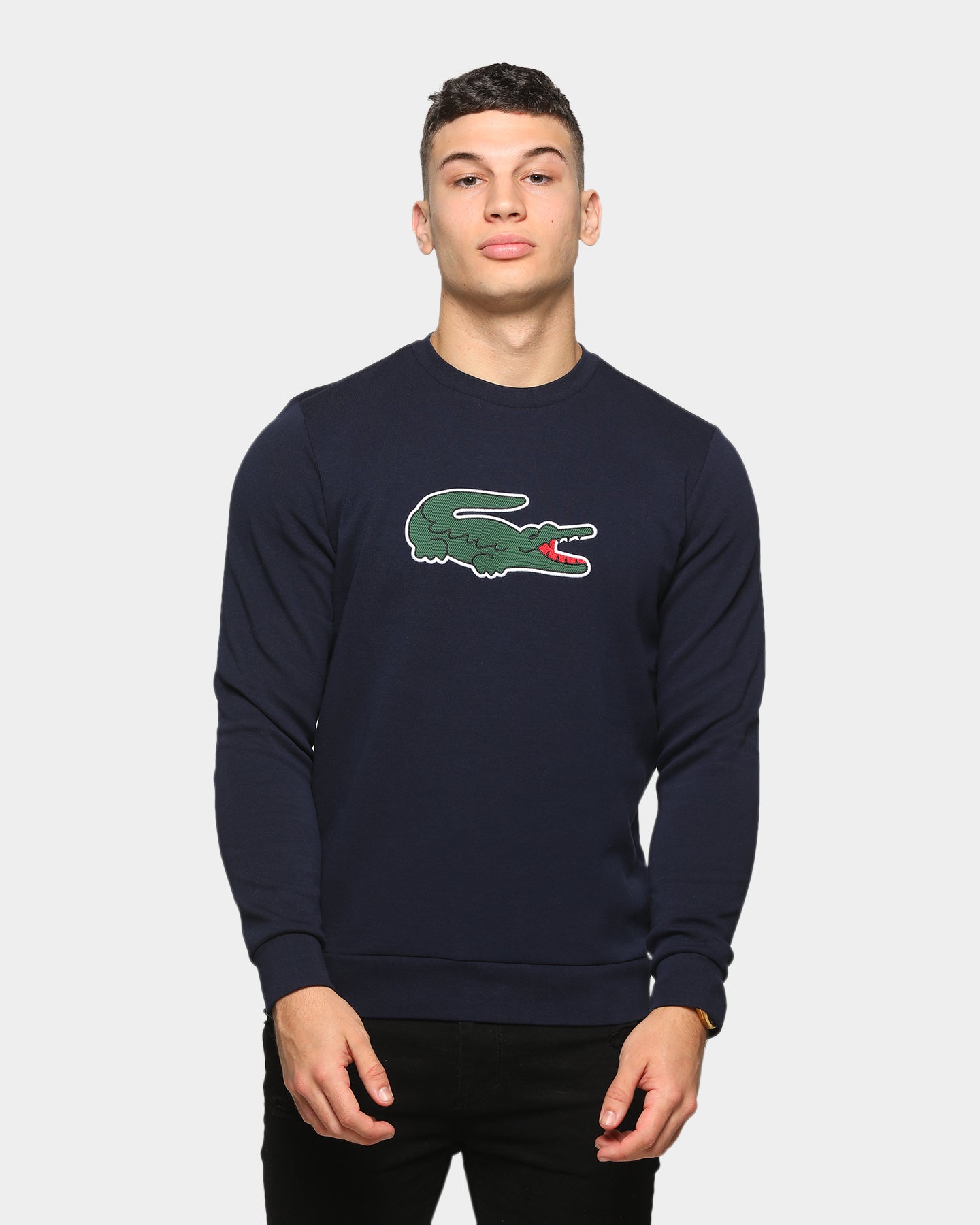 crewneck lacoste