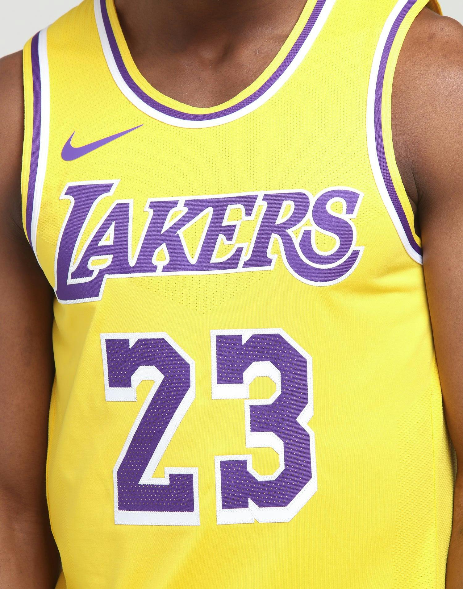 Nike Los Angeles Lakers LeBron James #23 Icon Edition ...
