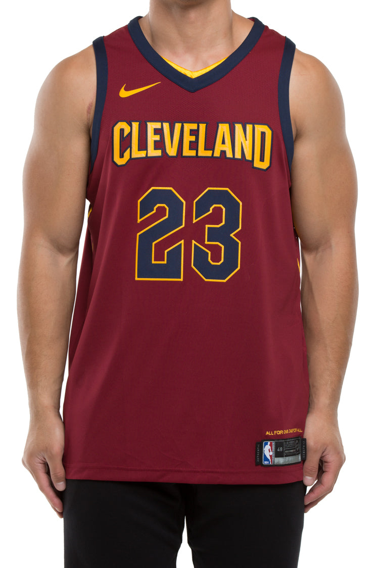lebron james 23 cleveland